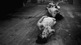 人体蜈蚣在线观看完整,惊悚悬疑，揭秘人体极限的恐怖实验